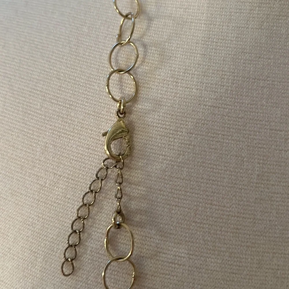 Semiprecious Brown Agate Gold-tone Necklace - Picture 4 of 5